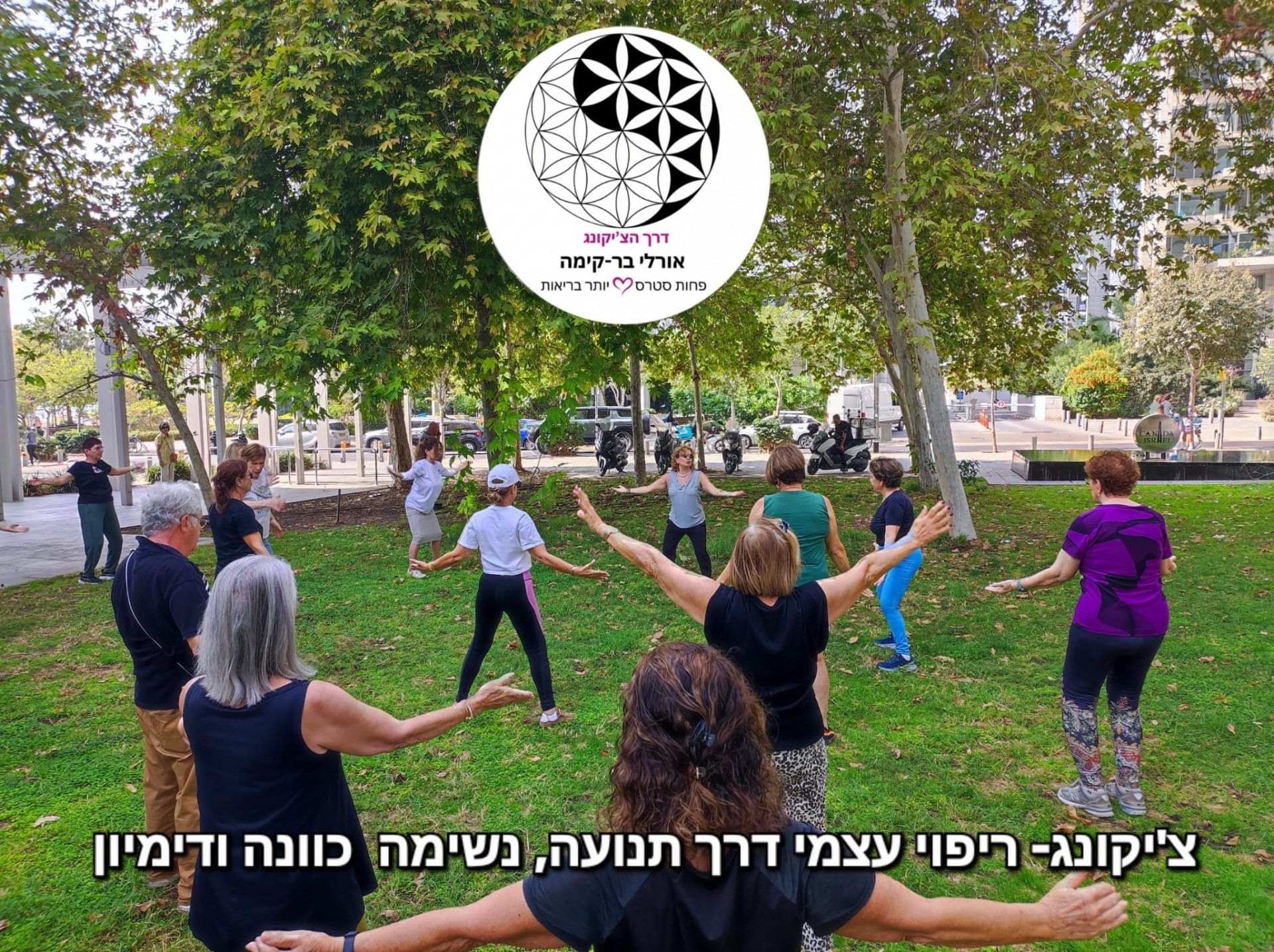 שיעור צ'יקונג קהילתי בפארק שכונת צמרת בתל אביב