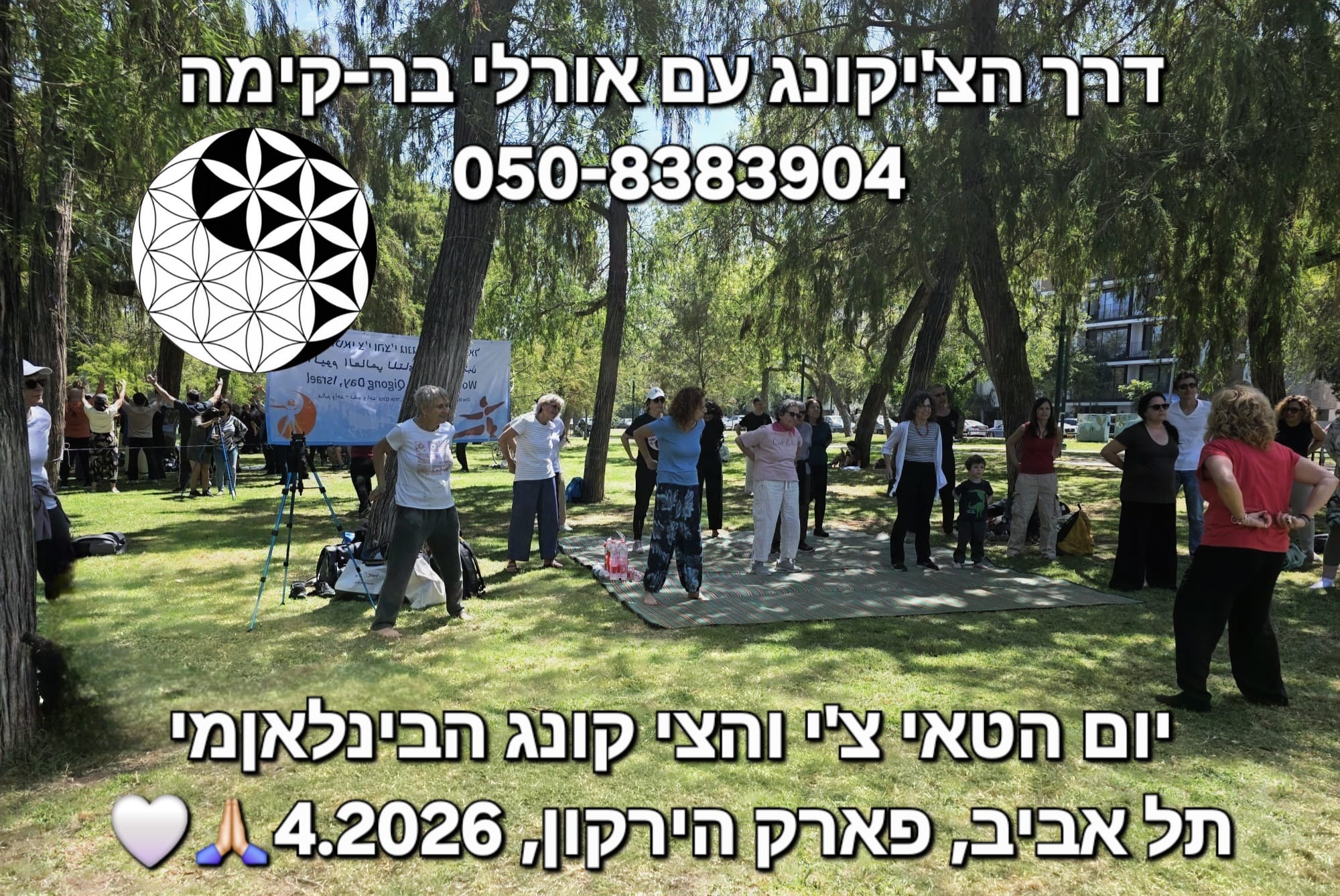 צילום מהשיעור של אורלי בר-קימה ביום הטאי צ'י והצ'יקונג הבינלאומי