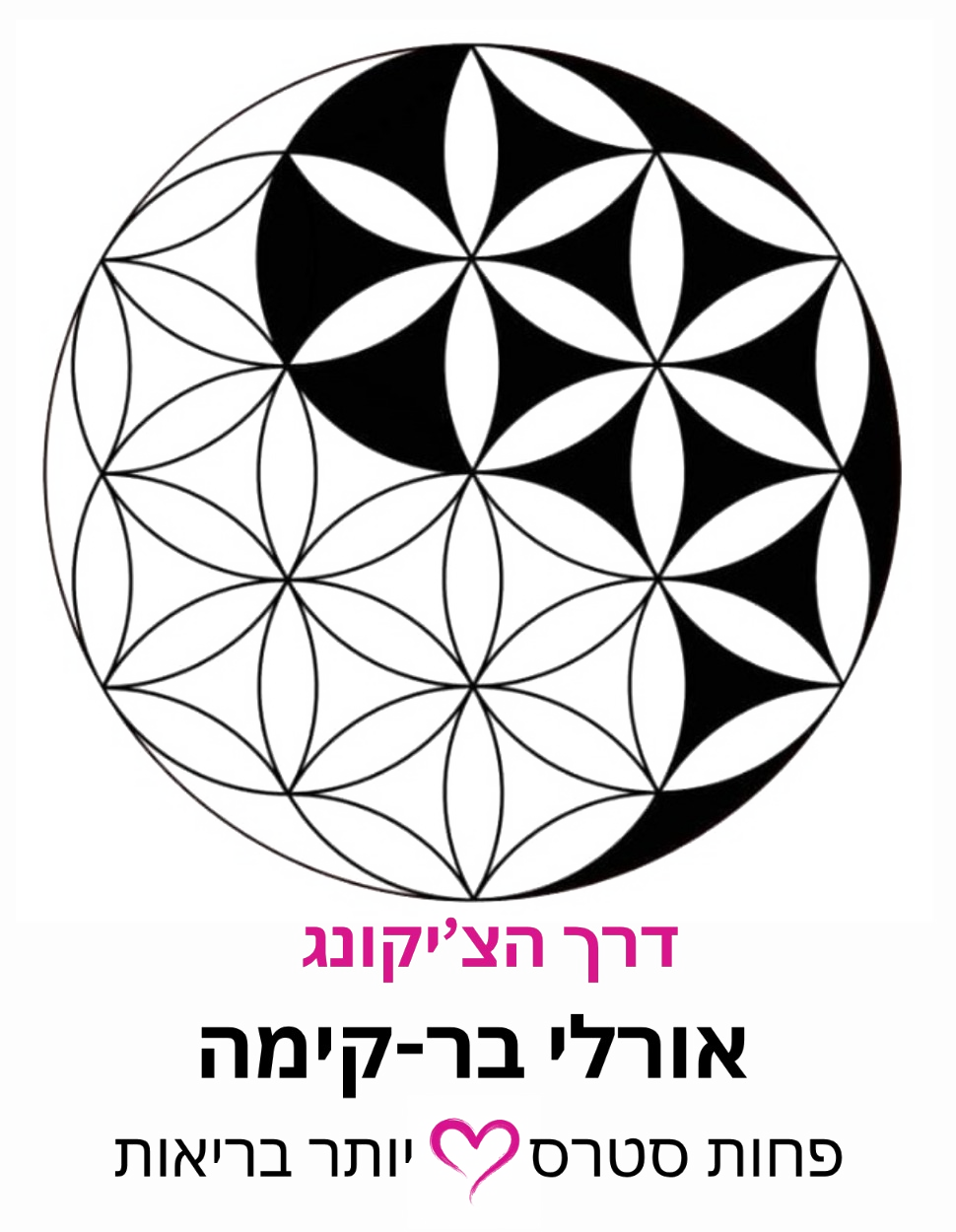 דרך הצ'יקונג — אורלי בר-קימה · פחות סטרס יותר בריאות